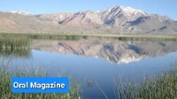‎افزایش سرقت‌های مسلحانه در مسیر ناور-غزنی